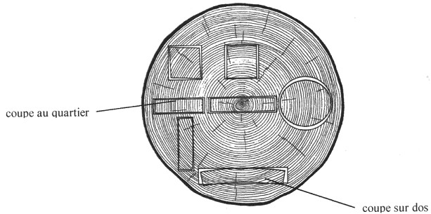 Les Différences entre les Qualités de Bois de Lutherie